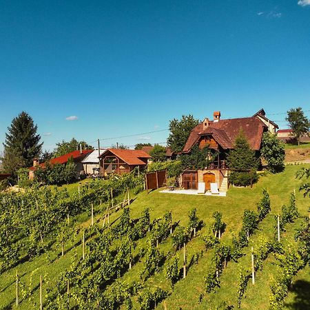 Holiday Home Wine & Relax Sveti Martin Na Muri Gornji Koncovcak Bagian luar foto