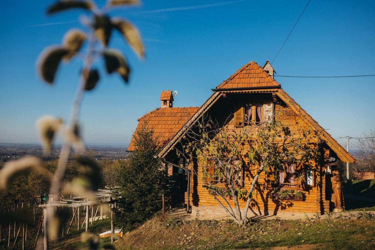 Holiday Home Wine & Relax Sveti Martin Na Muri Gornji Koncovcak Bagian luar foto