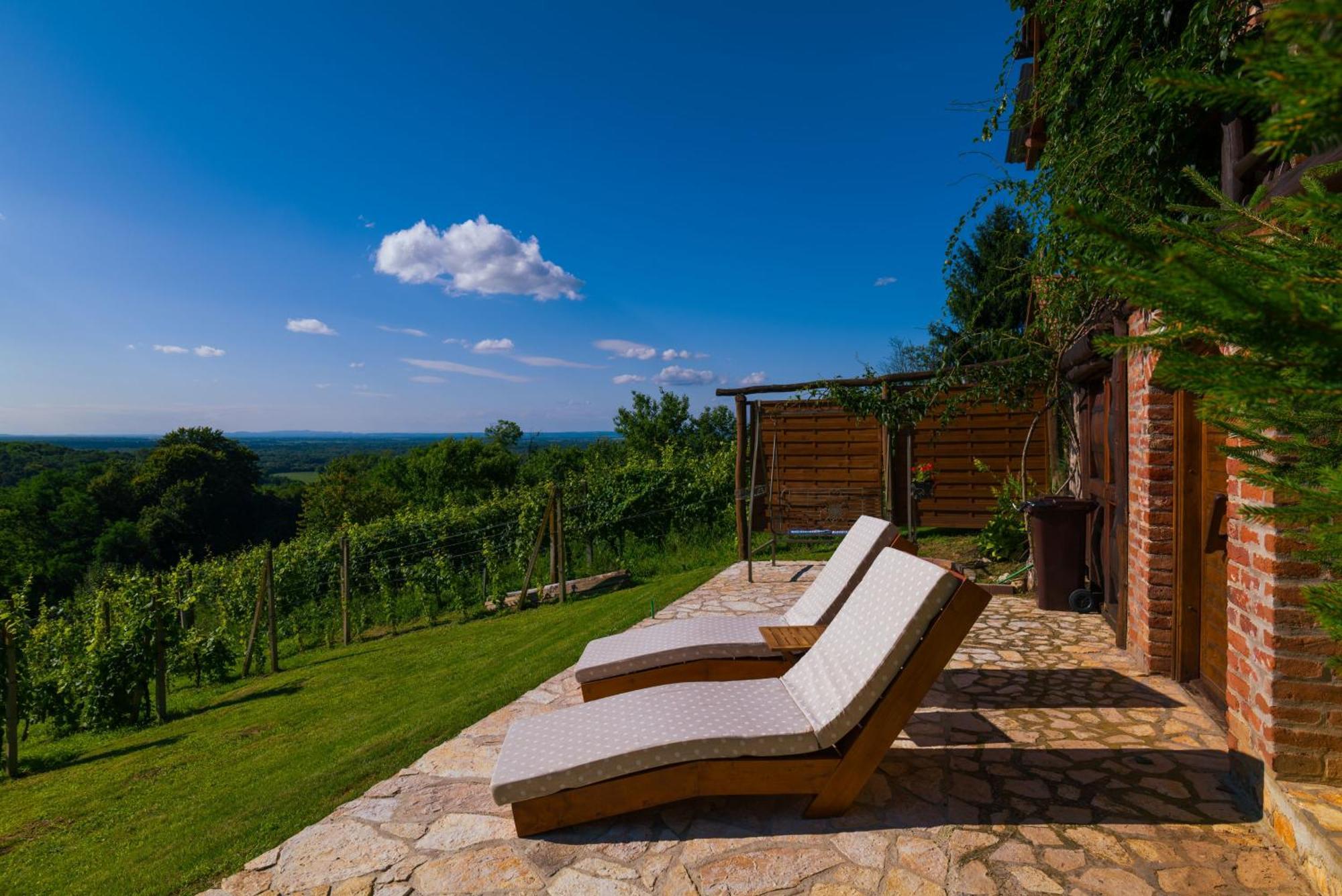 Holiday Home Wine & Relax Sveti Martin Na Muri Gornji Koncovcak Bagian luar foto