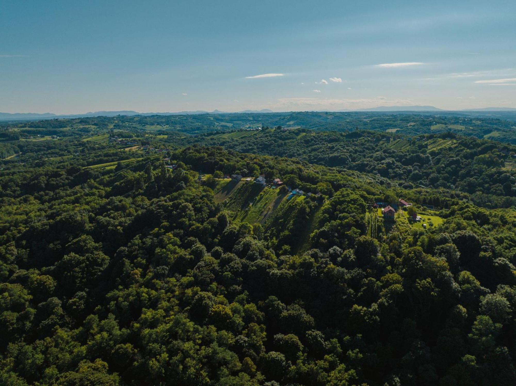 Holiday Home Wine & Relax Sveti Martin Na Muri Gornji Koncovcak Bagian luar foto