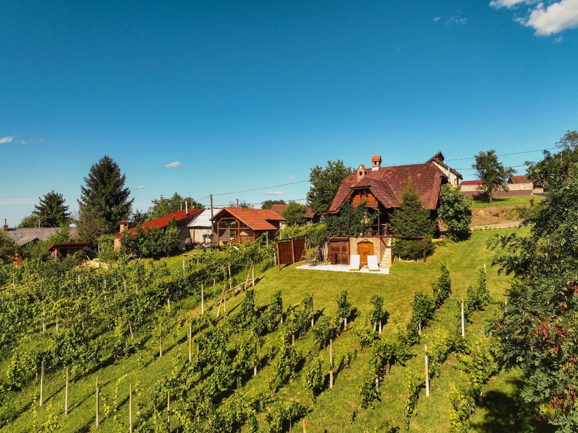 Holiday Home Wine & Relax Sveti Martin Na Muri Gornji Koncovcak Bagian luar foto